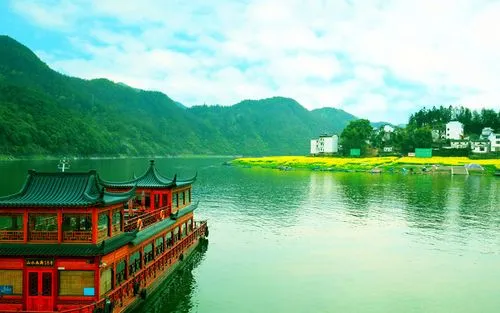 新型智能系统